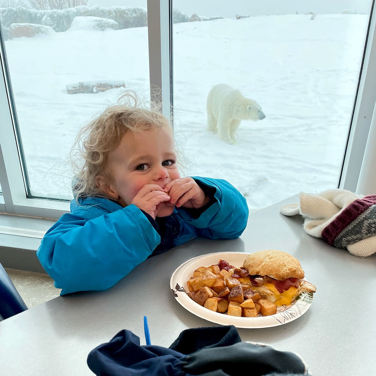 Child eats at the Tundra Grill with a polar bear in the background
